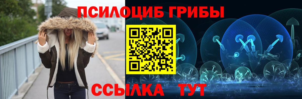 Галлюциногенные грибы Psilocybine cubensis  Вход с VPN  Грозный  Псилоцибиновые грибы мицелий 