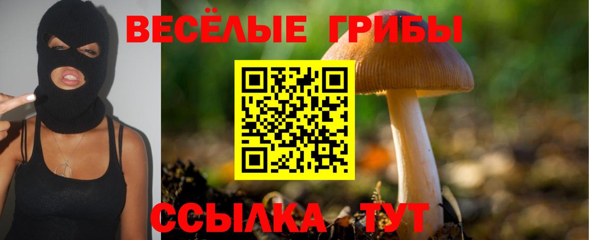 Галлюциногенные грибы Cubensis Грозный