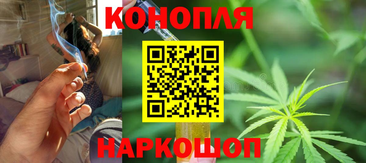 Бошки Шишки марихуана Грозный